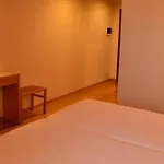 Santo Andre Hotel 4*